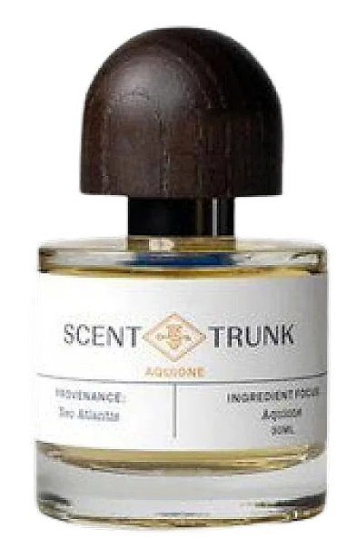 Aquione by Scent Trunk – Eau de Parfum