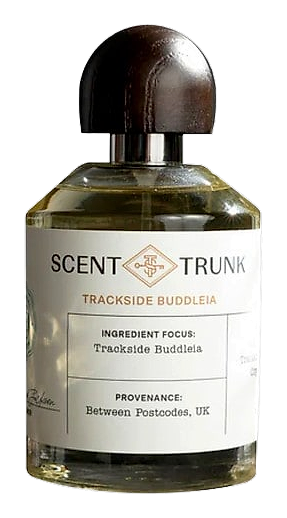 Trackside Buddleia by Scent Trunk
