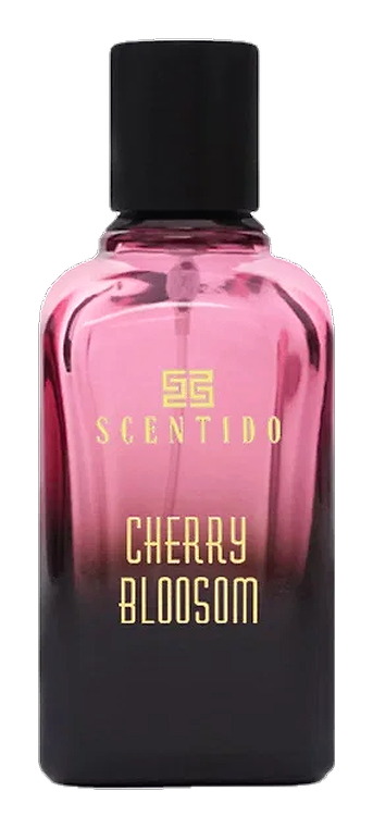 Cherry Blossom