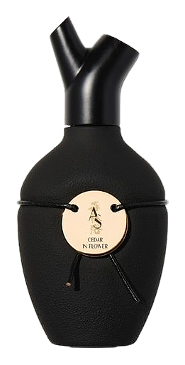Cedar in Flower by Scents of Wood