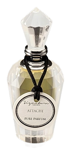 Attache by Signature Fragrances