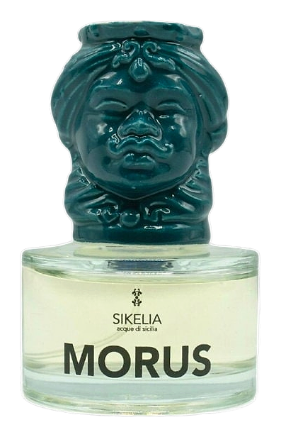 Morus by Sikelia