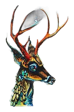Deer Guide by Simone Paris