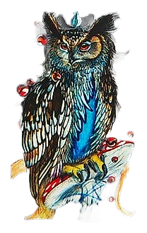 Owl Spirit