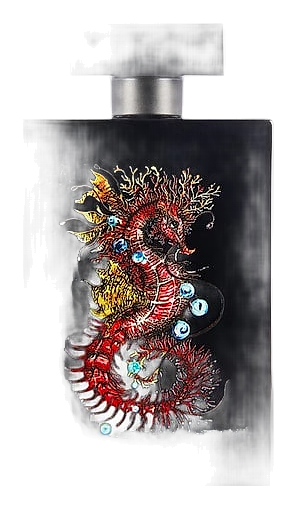 Seahorse Magic by Simone Paris