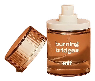 Burning Bridges by Snif