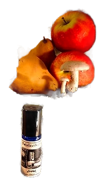 Cellar by Solstice Scents
