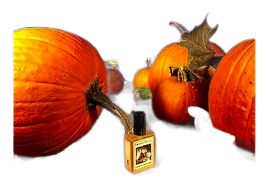 Gunnerson's Pumpkin Patch by Solstice Scents – Eau de Parfum
