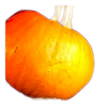 Pumpkin Spice Latte by Solstice Scents