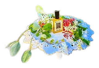 Queen of Dawn by Solstice Scents