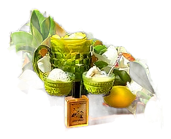 Solstice Magnolia by Solstice Scents