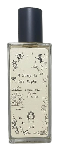 Sorce A Bump in the Night