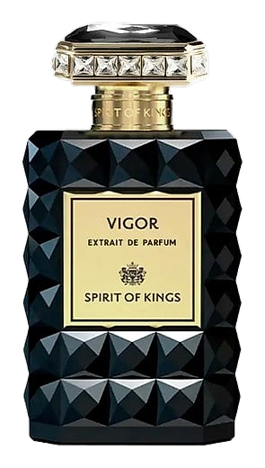 Vigor by Spirit Of Kings