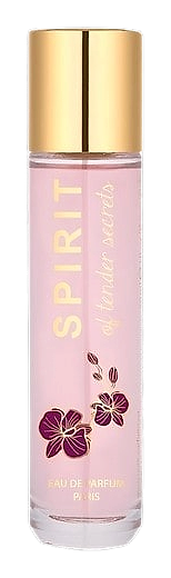 Spirit of Tender Secrets by Spirit