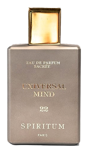 22 Universal Mind by Spiritum