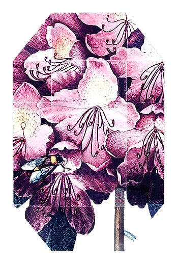 Print Collection Stella 01 (2011) by Stella McCartney