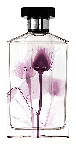 Sheer Stella 2011 by Stella McCartney