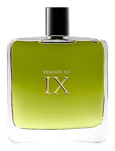 Essence of IX by Strange Invisible Perfumes