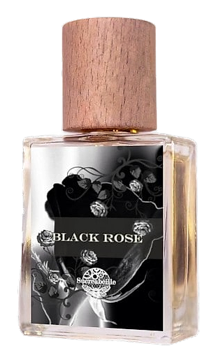 Black Rose by Sucreabeille