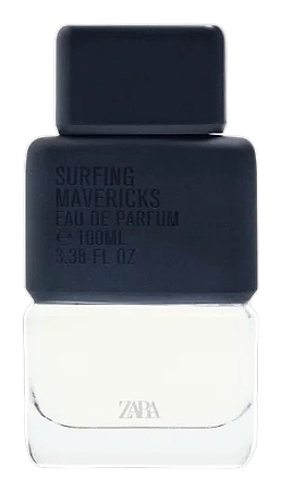 Surfing Mavericks by Zara