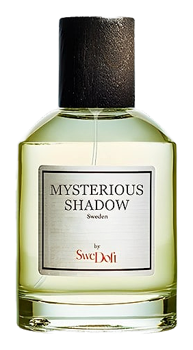 Mysterious Shadow by SweDoft