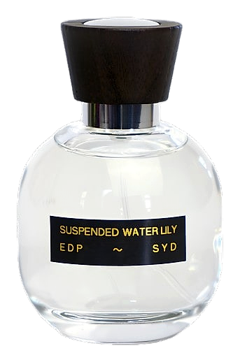 Suspended Water Lily by SYD Botanica