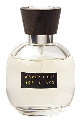 Wavey Tulip by SYD Botanica