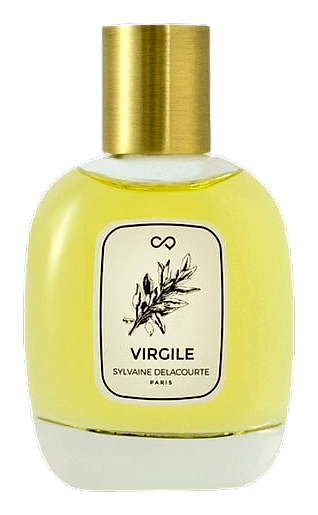 Virgile by Sylvaine Delacourte