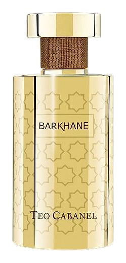 Barkhane by Teo Cabanel