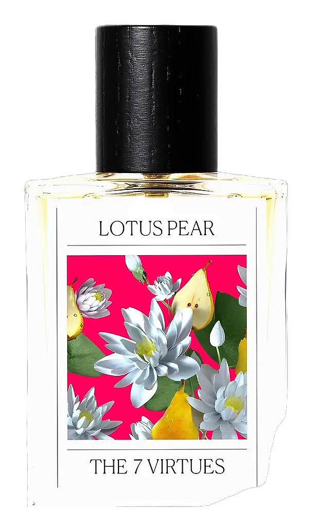 Lotus Pear by The 7 Virtues