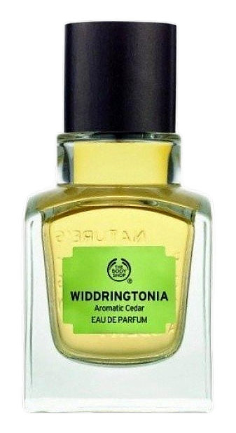Widdringtonia by The Body Shop