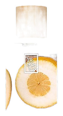 Citron Wood by The Dua Brand