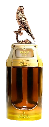 Baz Cuir by The Spirit of Dubai