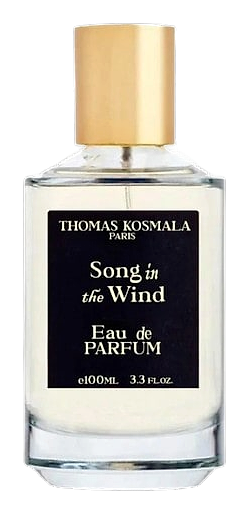 Thomas Kosmala Song In The Wind