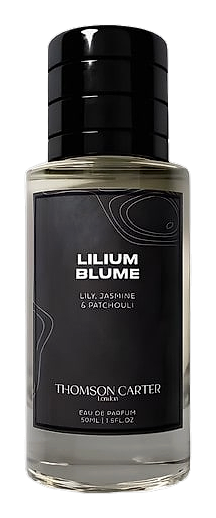Lilium Blume by Thomson Carter