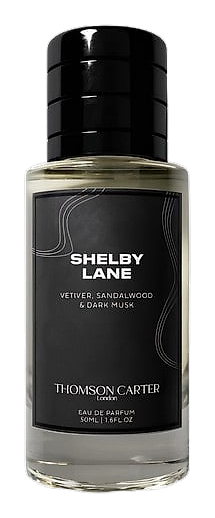 Shelby Lane by Thomson Carter
