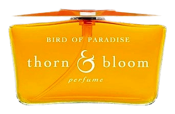Bird of Paradise by Thorn & Bloom