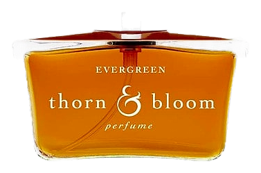 Evergreen by Thorn & Bloom