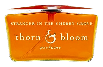 Stranger in the Cherry Grove by Thorn & Bloom