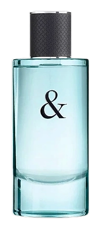 Tiffany & Love For Him by Tiffany