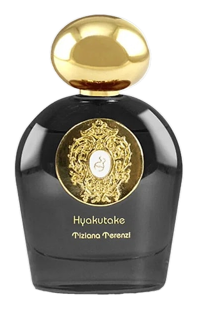 Hyakutake by Tiziana Terenzi
