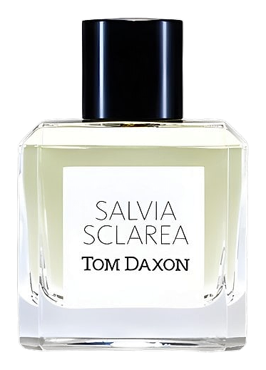 Salvia Sclarea by Tom Daxon