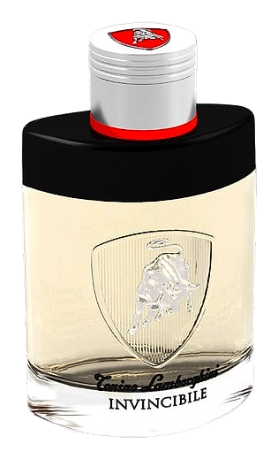 Invincibile by Tonino Lamborghini