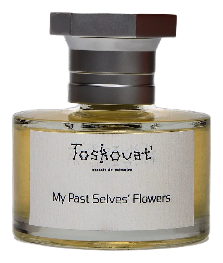 My Past Selves' Flowers by Toskovat'