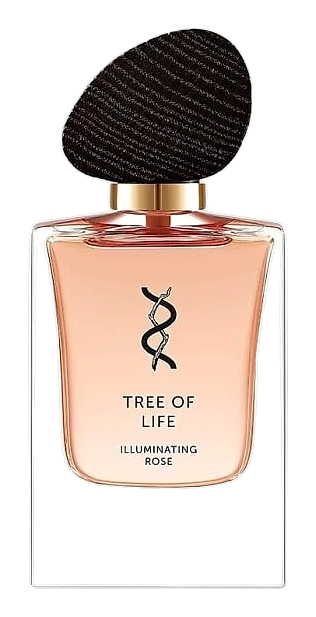 Illuminating Rose by Tree Of Life