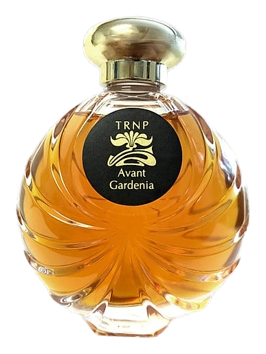 Avant Gardenia by TRNP