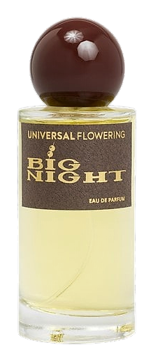 Big Night by Universal Flowering