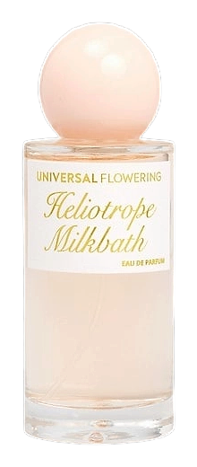 Heliotrope Milkbath by Universal Flowering