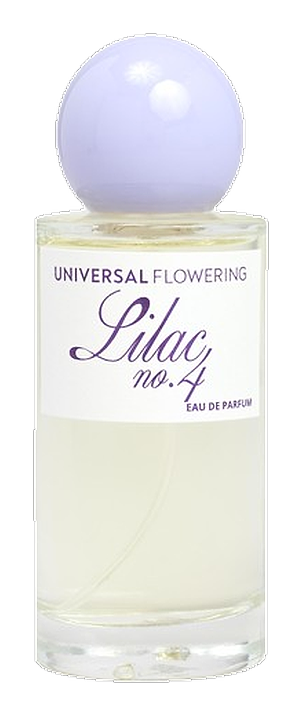 Universal Flowering Lilac No.4