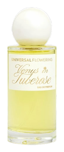 Venus In Tuberose by Universal Flowering